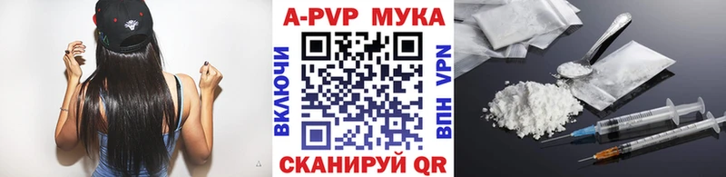 Альфа ПВП СК  Сегежа 