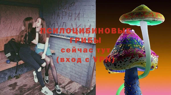 spice Осинники