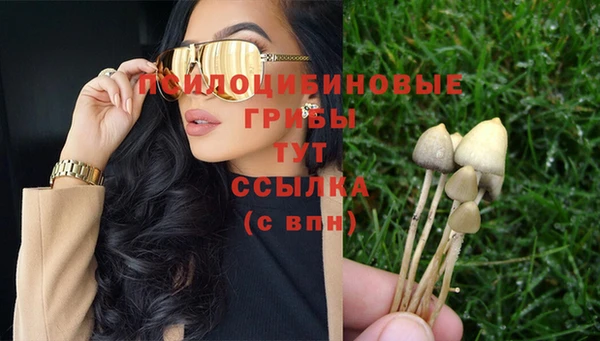 не бодяженный Арсеньев