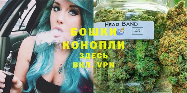 не бодяженный Арсеньев