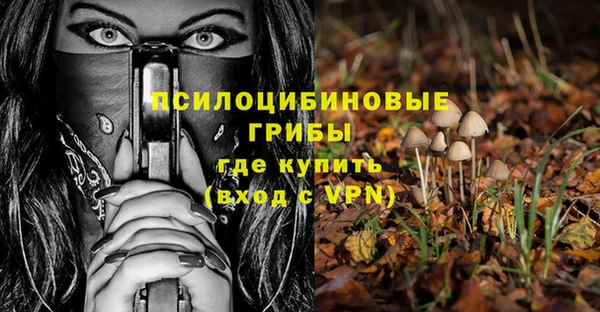не бодяженный Арсеньев